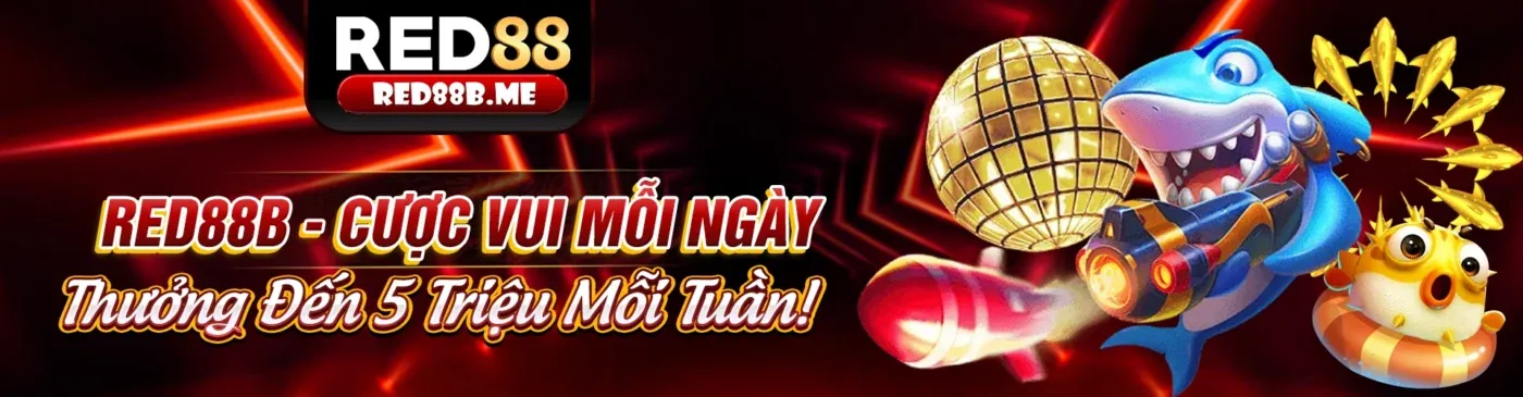 Hình ảnh chính tin tức 8kbet123 link mới